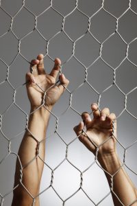 Cage, trapped